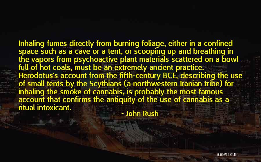 Tribe Culture Quotes By John Rush Tribe Culture Quotes By John Rush