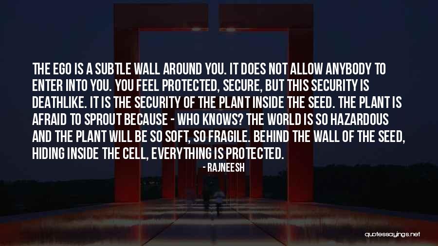 Tricare East Quotes By Rajneesh Tricare East Quotes By Rajneesh