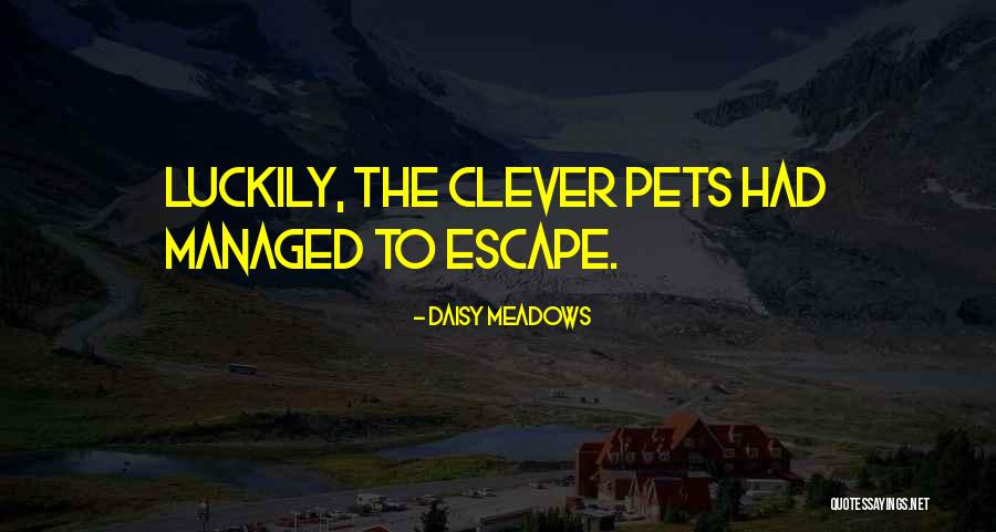 Trichardt Mediclinic Quotes By Daisy Meadows Trichardt Mediclinic Quotes By Daisy Meadows
