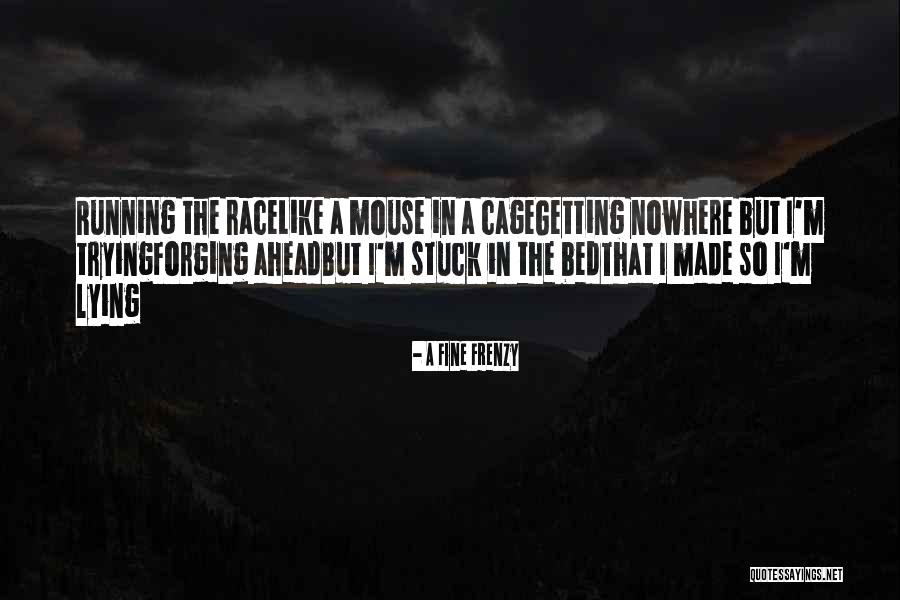 Trichelle Lev Quotes By A Fine Frenzy Trichelle Lev Quotes By A Fine Frenzy