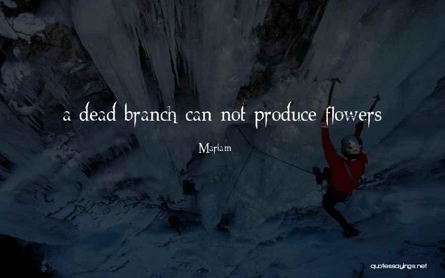 Tricheta Quotes By Mariam Tricheta Quotes By Mariam