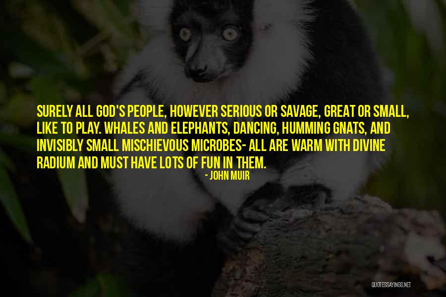 Trichia Decipiens Quotes By John Muir Trichia Decipiens Quotes By John Muir