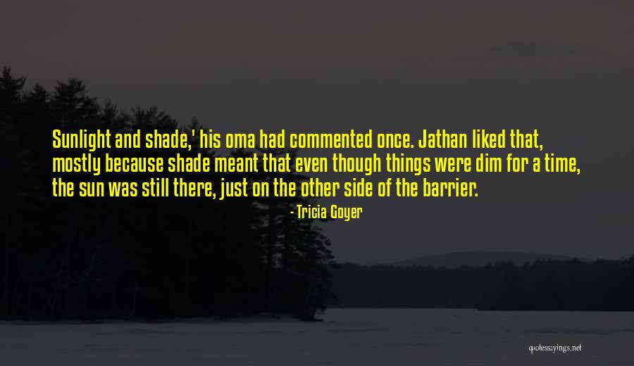 Tricia Goyer Quotes 724091 Tricia Goyer Quotes 724091