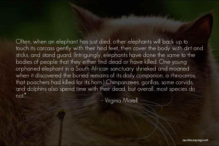 Trickiness Quotes By Virginia Morell Trickiness Quotes By Virginia Morell