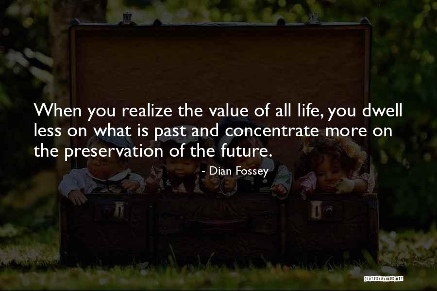 Triebwasser Appraisal Quotes By Dian Fossey Triebwasser Appraisal Quotes By Dian Fossey