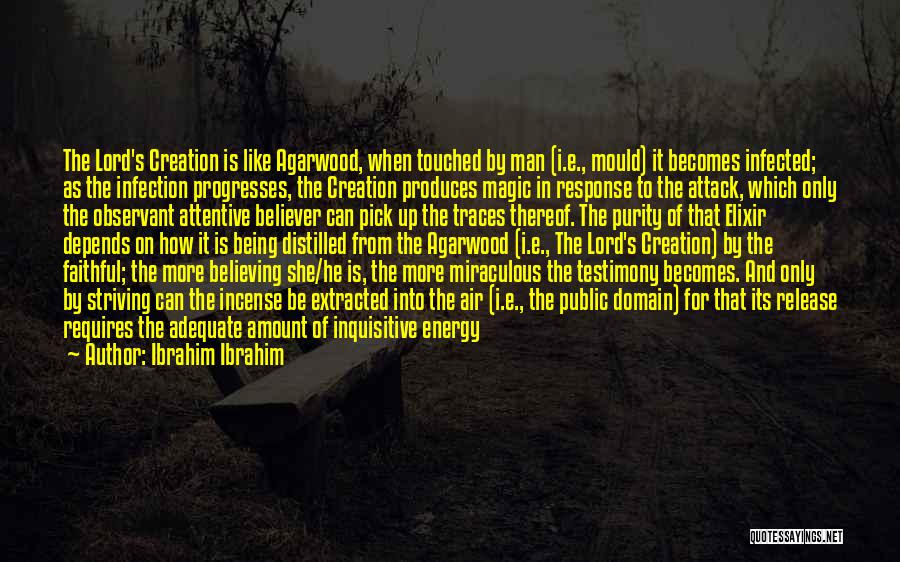 Triggering Quotes By Ibrahim Ibrahim
