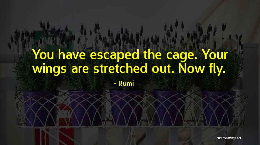 Trilhas Quotes By Rumi Trilhas Quotes By Rumi