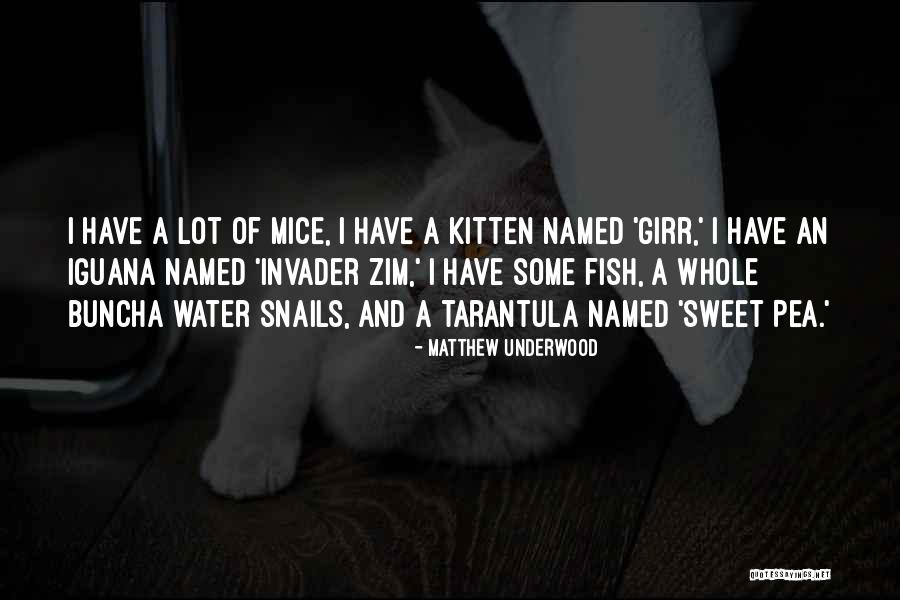 Trillian Im Quotes By Matthew Underwood Trillian Im Quotes By Matthew Underwood