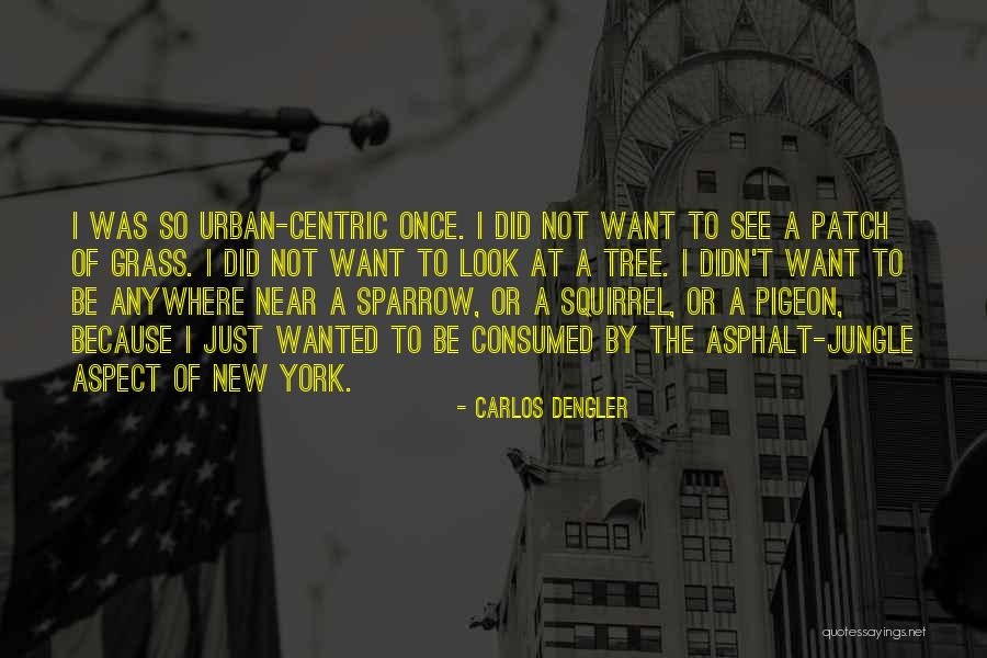 Trilokpuri Quotes By Carlos Dengler Trilokpuri Quotes By Carlos Dengler