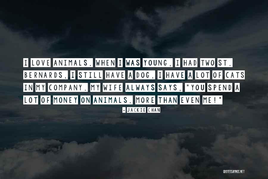 Trimarco V Quotes By Jackie Chan Trimarco V Quotes By Jackie Chan