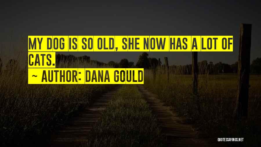 Trincea Prima Quotes By Dana Gould