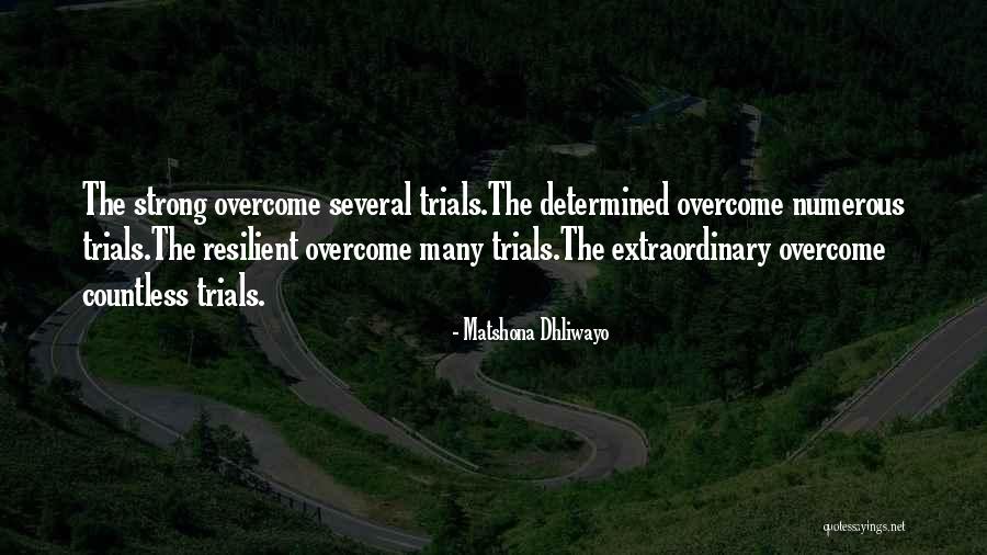 Trinh Duyet Quotes By Matshona Dhliwayo Trinh Duyet Quotes By Matshona Dhliwayo