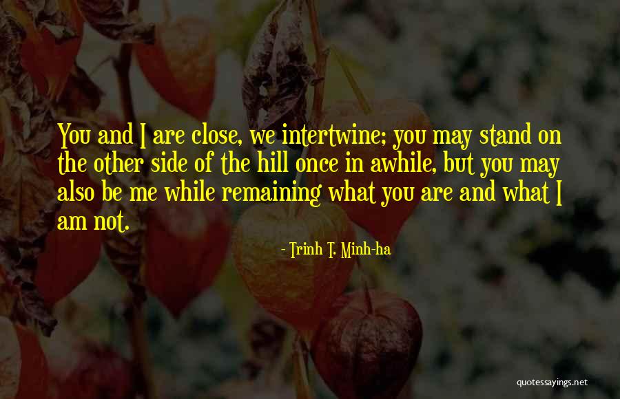 Trinh T. Minh-ha Quotes 421932 Trinh T. Minh-ha Quotes 421932