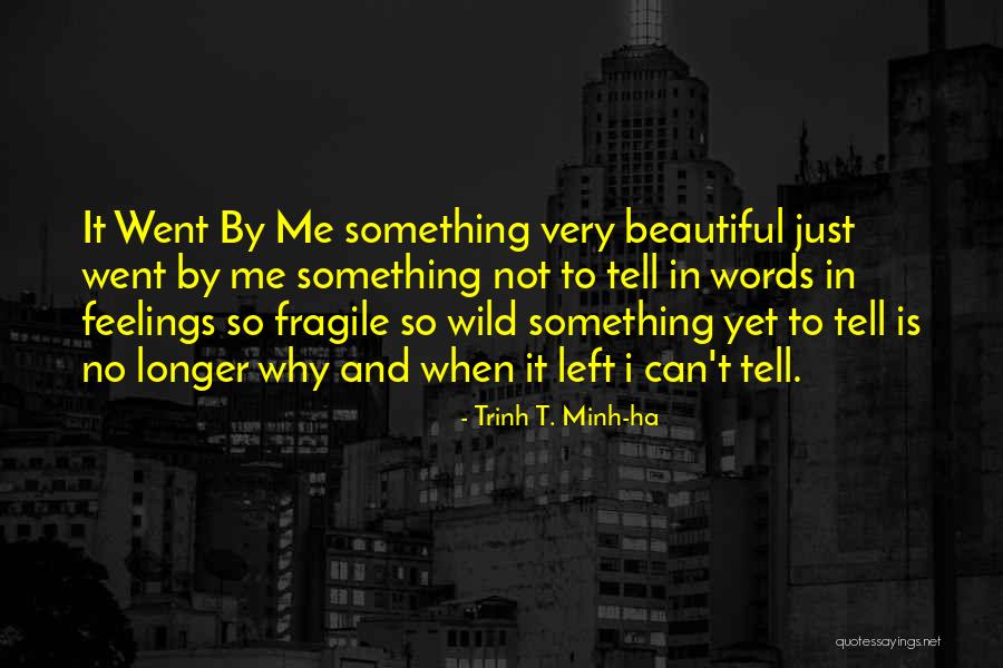 Trinh T. Minh-ha Quotes 860886 Trinh T. Minh-ha Quotes 860886