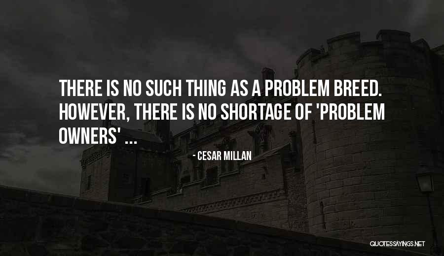Trinneer Construction Quotes By Cesar Millan Trinneer Construction Quotes By Cesar Millan