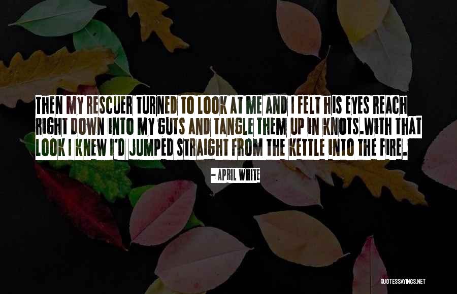 Trionfi Interiors Quotes By April White Trionfi Interiors Quotes By April White