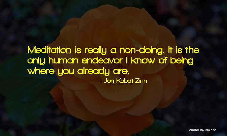 Triple H T Shirt Quotes By Jon Kabat-Zinn Triple H T Shirt Quotes By Jon Kabat-Zinn