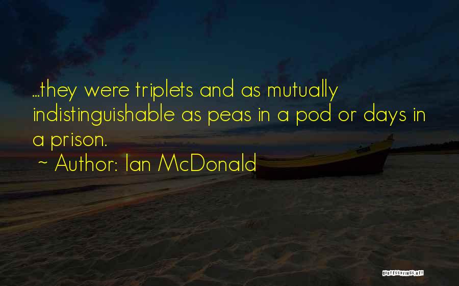 Triplets Quotes By Ian McDonald