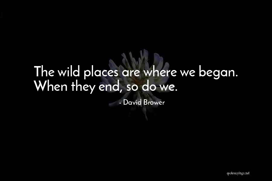 Tripping Tagalog Quotes By David Brower