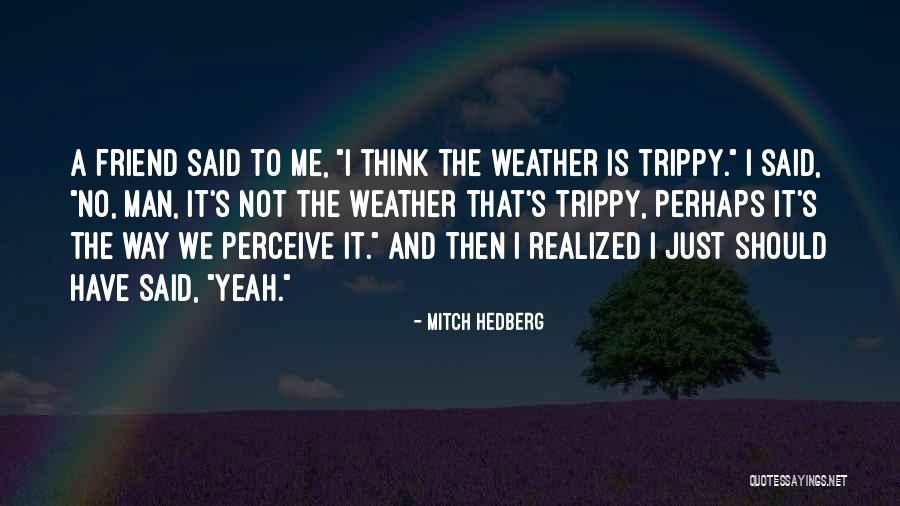 Trippy Quotes By Mitch Hedberg