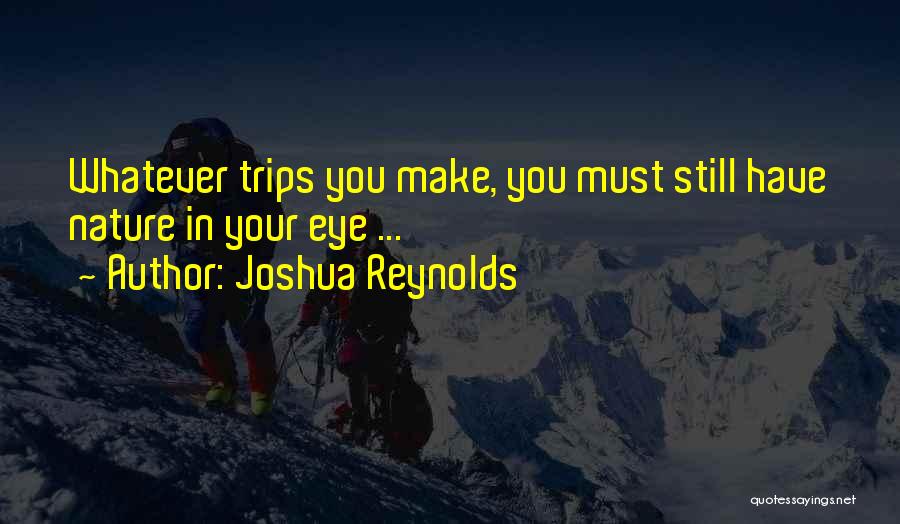 Trips And Travel Quotes By Joshua Reynolds