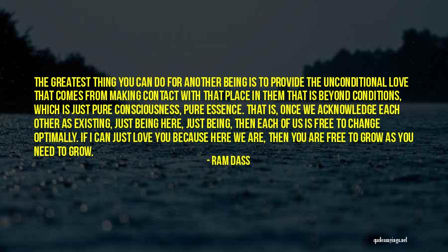 Trish Mcevoy Quotes By Ram Dass Trish Mcevoy Quotes By Ram Dass