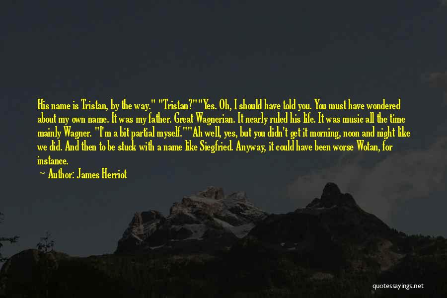 Tristan Quotes By James Herriot