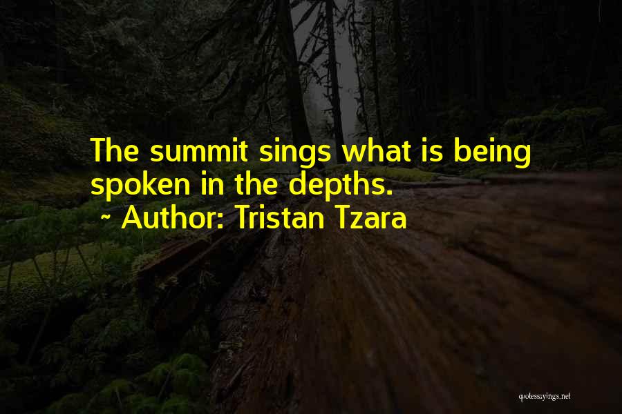 Tristan Tzara Quotes 691031