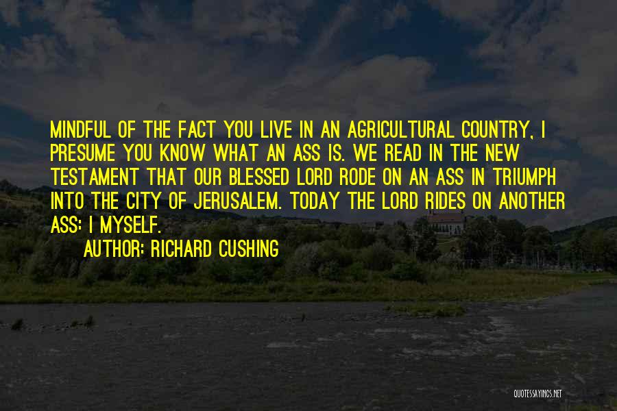 Triumph Of The City Quotes By Richard Cushing