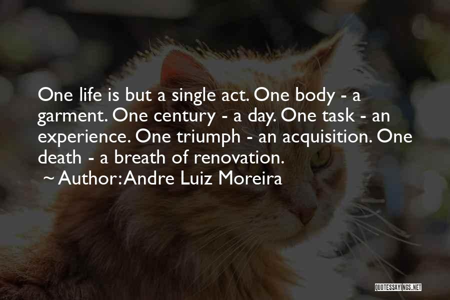 Triumph Quotes By Andre Luiz Moreira