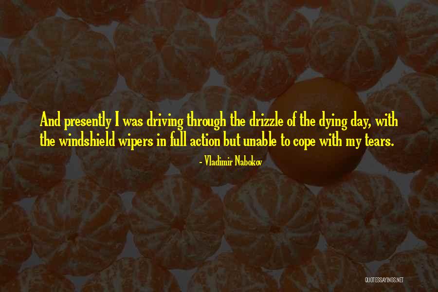 Triumphant Inspirational Quotes By Vladimir Nabokov Triumphant Inspirational Quotes By Vladimir Nabokov