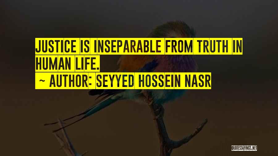 Triumphant Movie Quotes By Seyyed Hossein Nasr