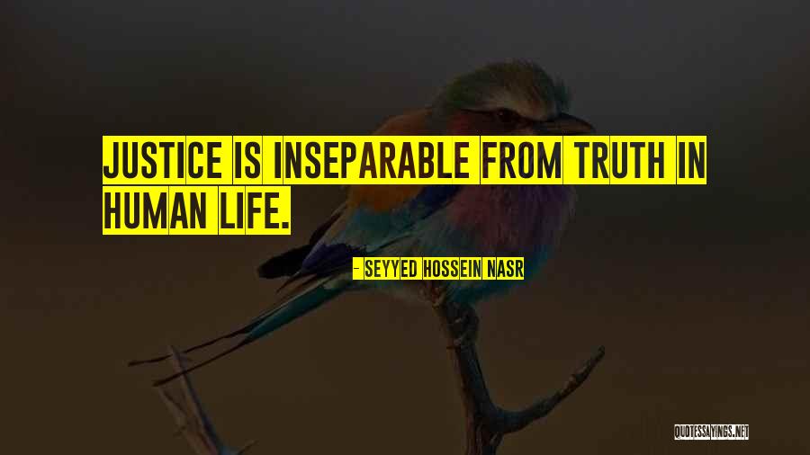 Triumphant Movie Quotes By Seyyed Hossein Nasr Triumphant Movie Quotes By Seyyed Hossein Nasr