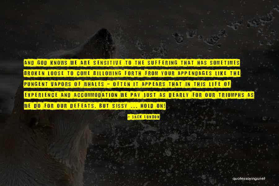Triumphs Of Experience Quotes By Jack London Triumphs Of Experience Quotes By Jack London