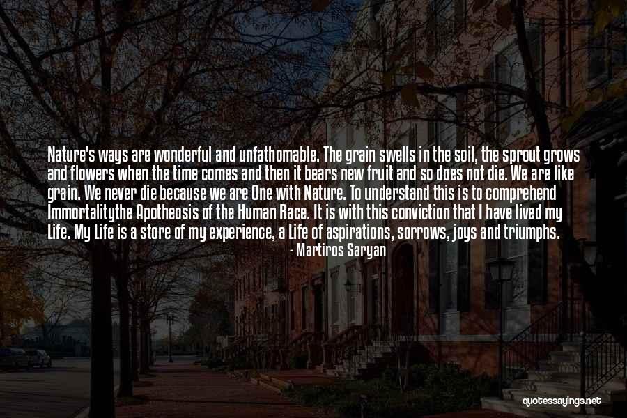 Triumphs Of Experience Quotes By Martiros Saryan Triumphs Of Experience Quotes By Martiros Saryan