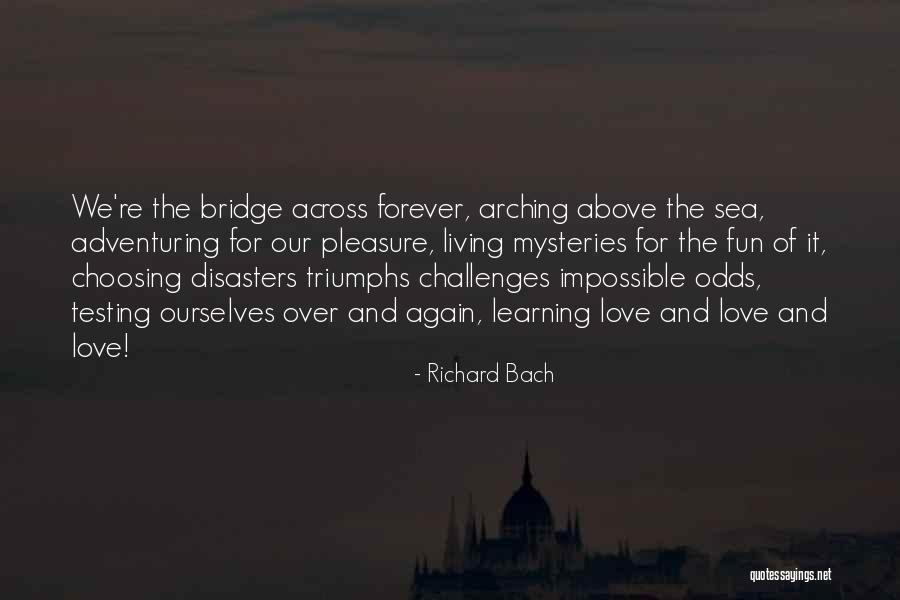 Triumphs Quotes By Richard Bach