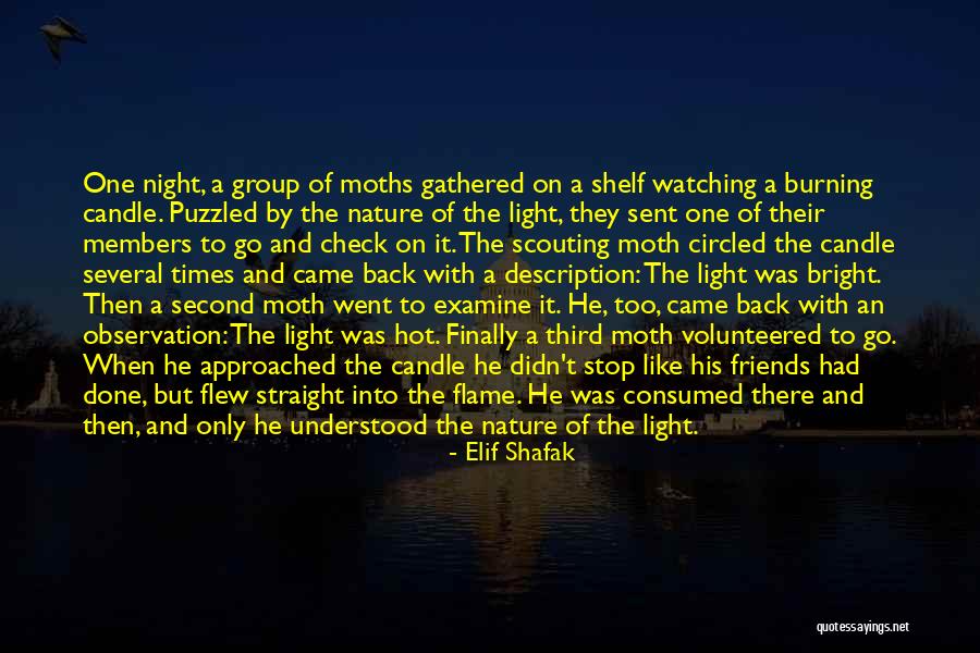 Triviality In A Sentence Quotes By Elif Shafak Triviality In A Sentence Quotes By Elif Shafak