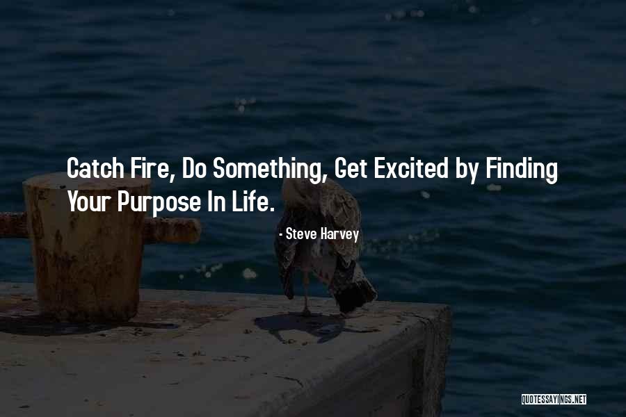Trixies Des Quotes By Steve Harvey Trixies Des Quotes By Steve Harvey