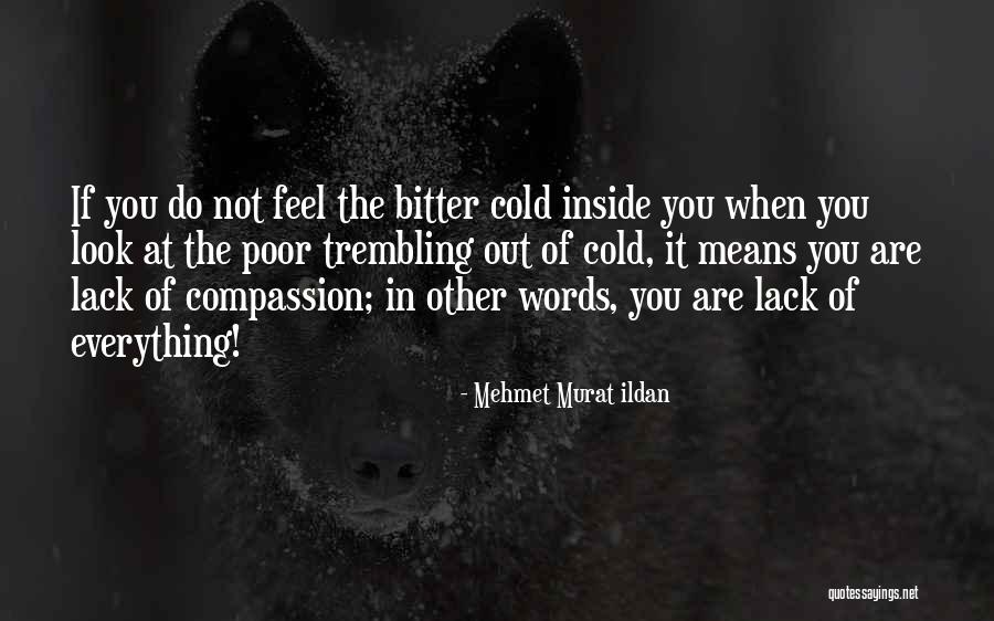 Trixxi Quotes By Mehmet Murat Ildan Trixxi Quotes By Mehmet Murat Ildan