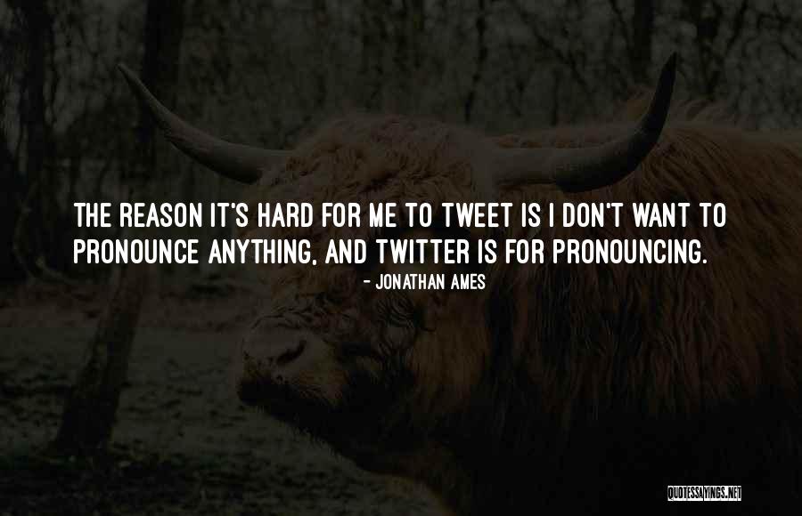 Trocadilhos Quotes By Jonathan Ames Trocadilhos Quotes By Jonathan Ames