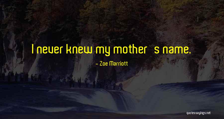 Trofi Restaurant Quotes By Zoe Marriott Trofi Restaurant Quotes By Zoe Marriott