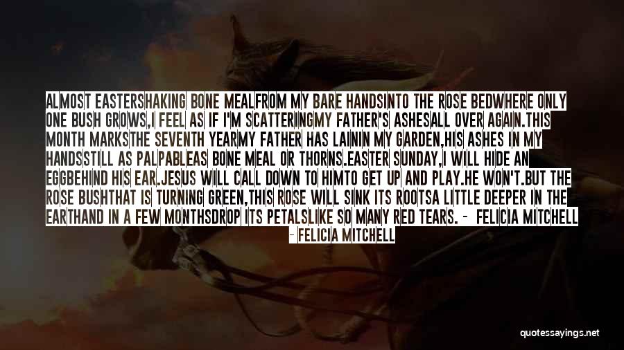 Troika Rpg Quotes By Felicia Mitchell Troika Rpg Quotes By Felicia Mitchell