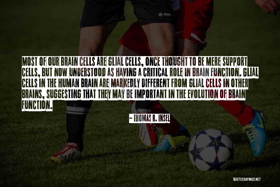 Troisieme Quotes By Thomas R. Insel Troisieme Quotes By Thomas R. Insel
