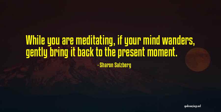 Trojanowski Jq Quotes By Sharon Salzberg Trojanowski Jq Quotes By Sharon Salzberg