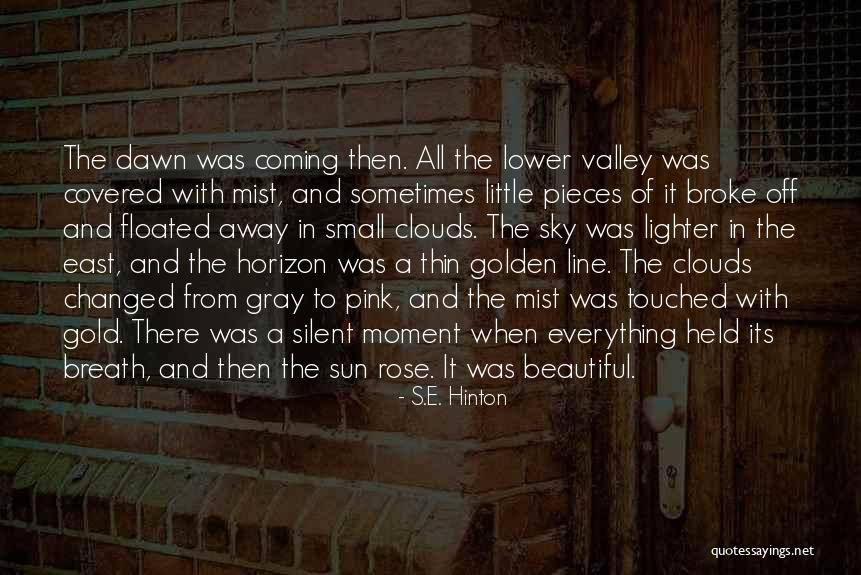 Troleibuz 102 Quotes By S.E. Hinton Troleibuz 102 Quotes By S.E. Hinton