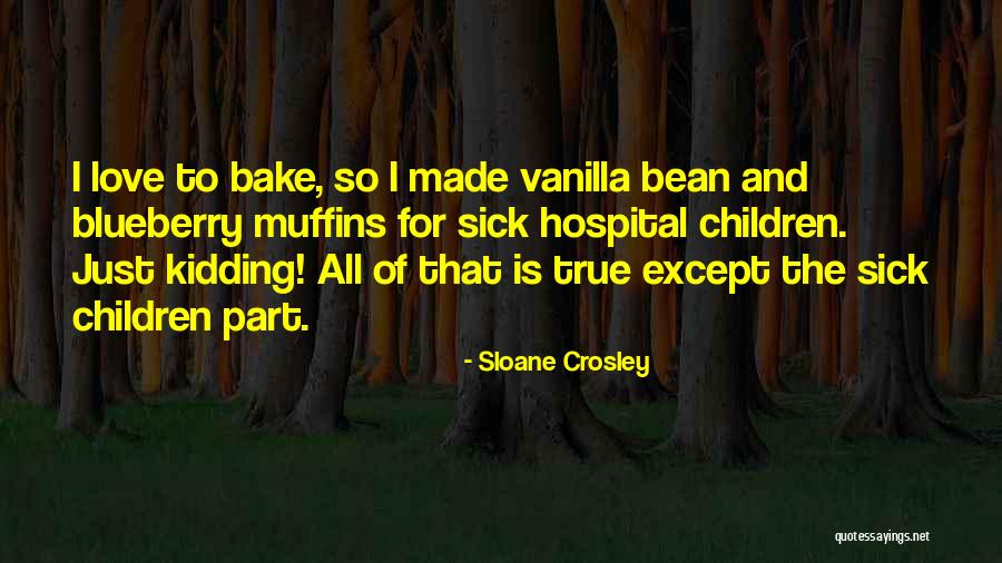 Trompes In English Quotes By Sloane Crosley Trompes In English Quotes By Sloane Crosley