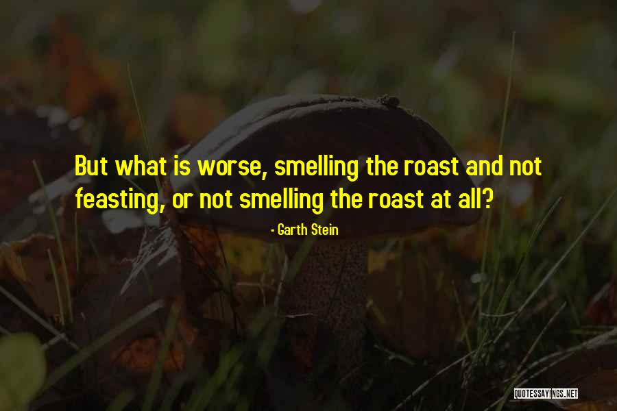 Trompette Algeria Quotes By Garth Stein Trompette Algeria Quotes By Garth Stein