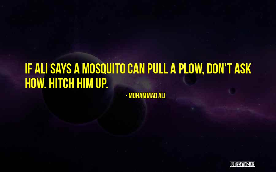 Trona Bloody Trona Quotes By Muhammad Ali Trona Bloody Trona Quotes By Muhammad Ali