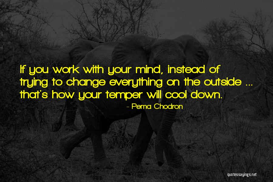 Tronul De Clestar Quotes By Pema Chodron Tronul De Clestar Quotes By Pema Chodron