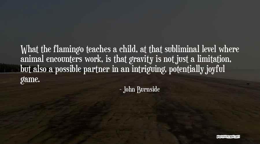 Tropel Inc Quotes By John Burnside Tropel Inc Quotes By John Burnside